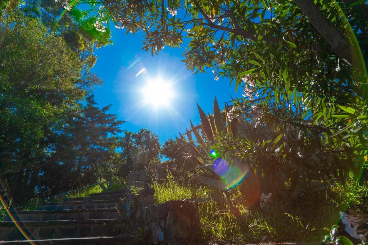 Giardino Sul Mare House - Levanto Sea View Екстериор снимка
